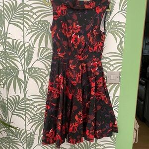 Closet Black and Red Floral Dress